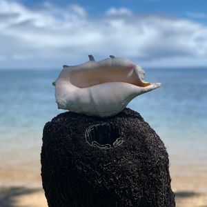 Meet your Posher, Kristy